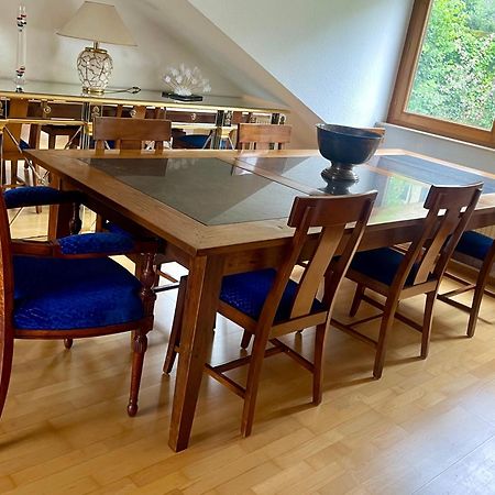 Wunderschoenes Grosses 3 Zimmer Apartament Zentrum Goldstadt Familienfreundlich Mit Garage Pforzheim Exteriör bild