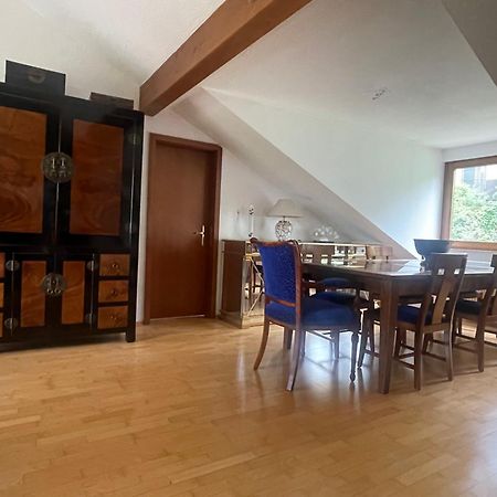 Wunderschoenes Grosses 3 Zimmer Apartament Zentrum Goldstadt Familienfreundlich Mit Garage Pforzheim Exteriör bild