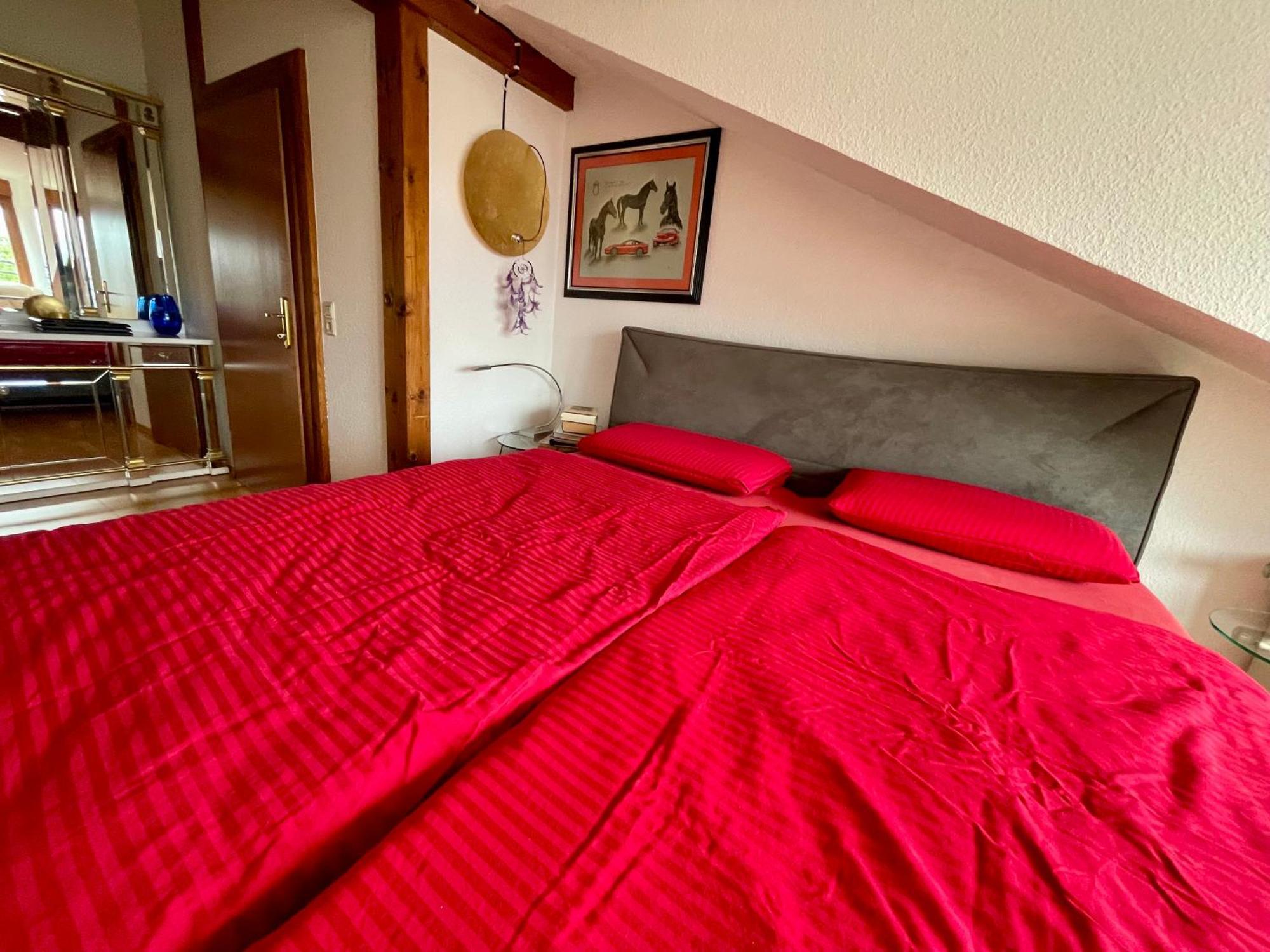 Wunderschoenes Grosses 3 Zimmer Apartament Zentrum Goldstadt Familienfreundlich Mit Garage Pforzheim Exteriör bild